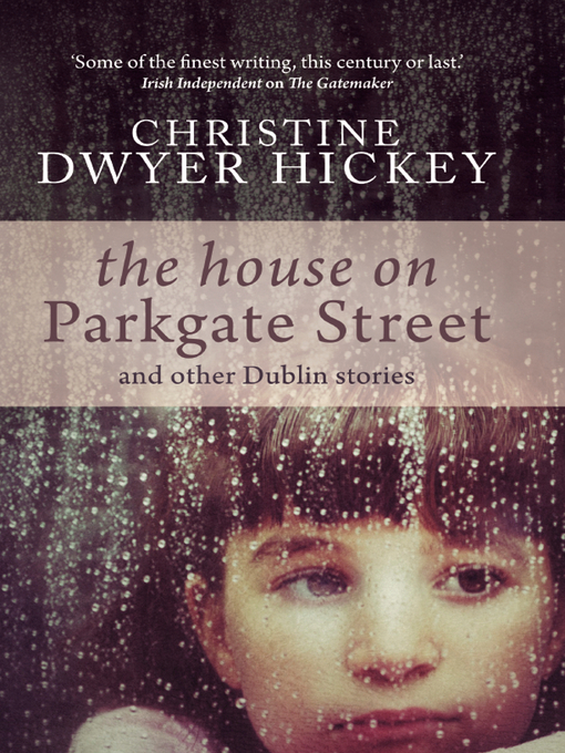 Cover image for The House on Parkgate Street